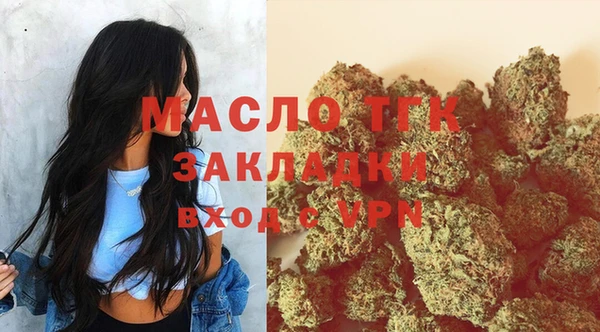СК Алексин