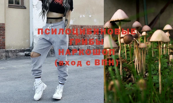гашик Армянск