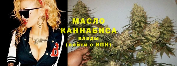 СК Алексин