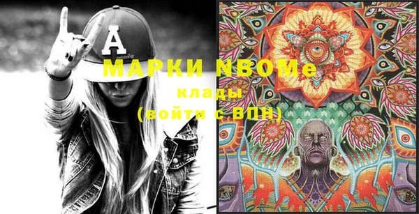 индика Заводоуковск