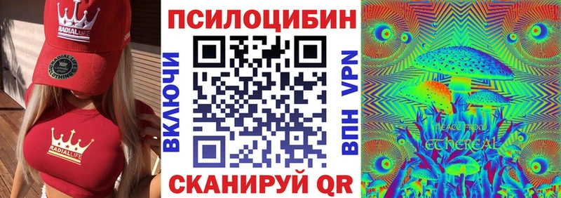 блэк спрут   Павловская  Галлюциногенные грибы MAGIC MUSHROOMS 